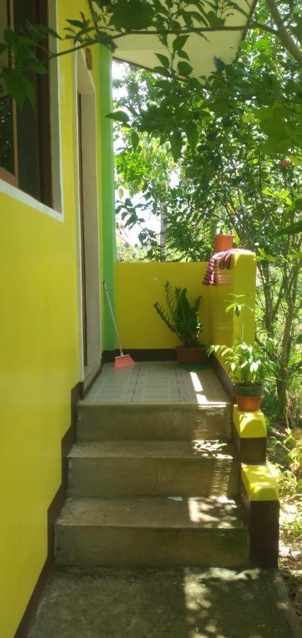 Xylla Guesthouse Siquijor Exterior photo